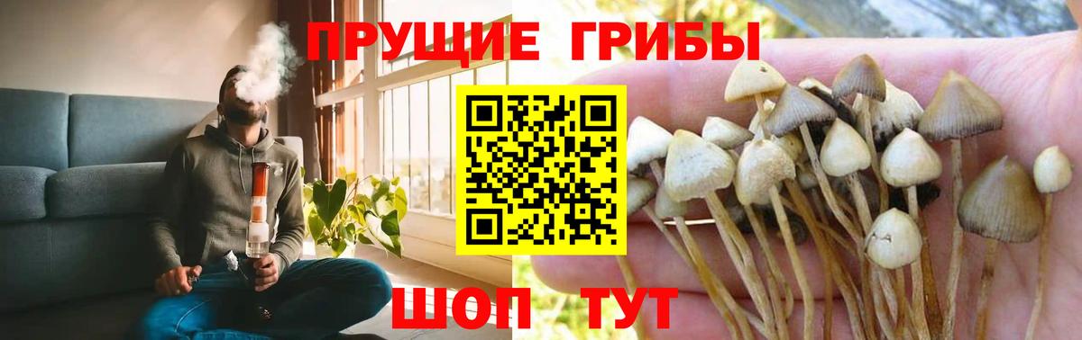 Псилоцибиновые грибы MAGIC MUSHROOMS Крымск